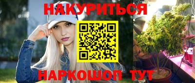 бошки Гатчина