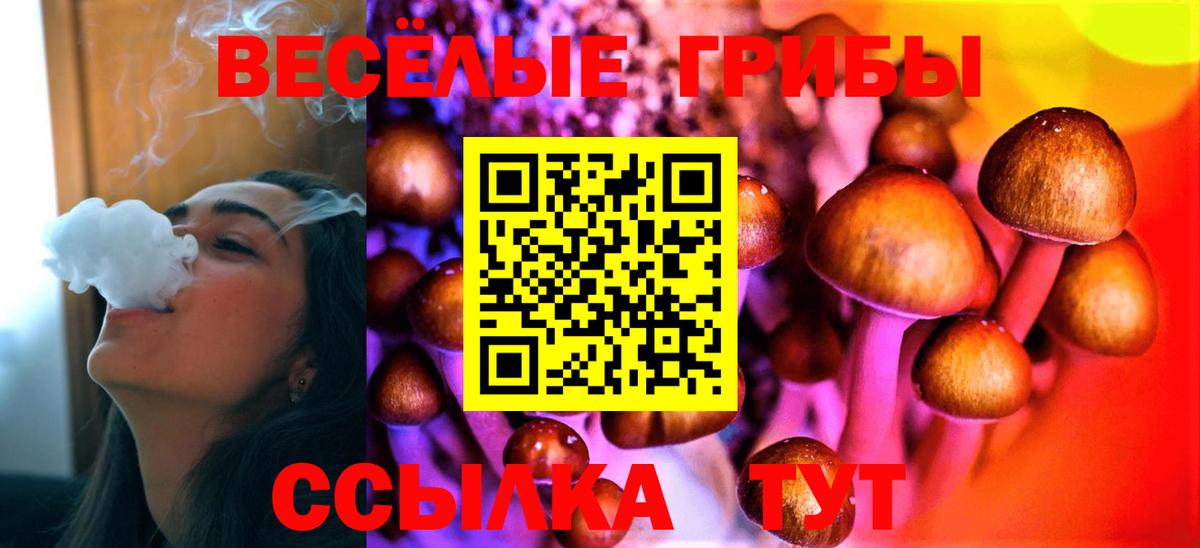 Псилоцибиновые грибы Psilocybe  Вход с VPN  Лиски 